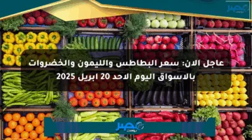 عاجل الآن: سعر البطاطس والليمون والخضروات بالأسواق اليوم الأحد 20 أبريل 2025